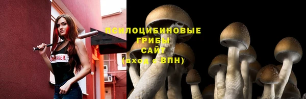 MESCALINE Мегион