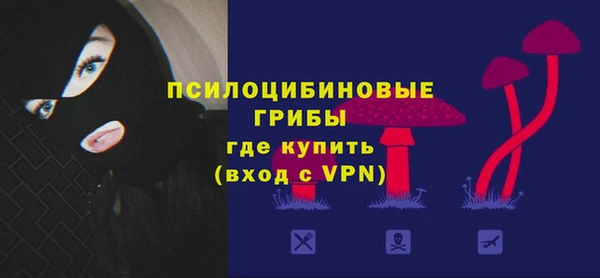шишки Медногорск