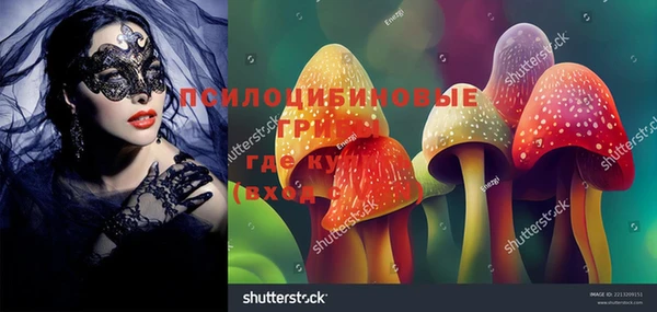 шишки Медногорск