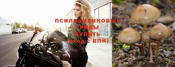 круглые Абинск