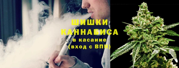 шишки Медногорск