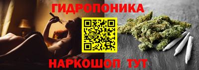 крисы Славянск-на-Кубани
