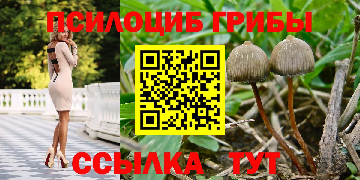 Урус-Мартан  Псилоцибиновые грибы мухоморы  Галлюциногенные грибы Magic Shrooms  Вход с VPN 