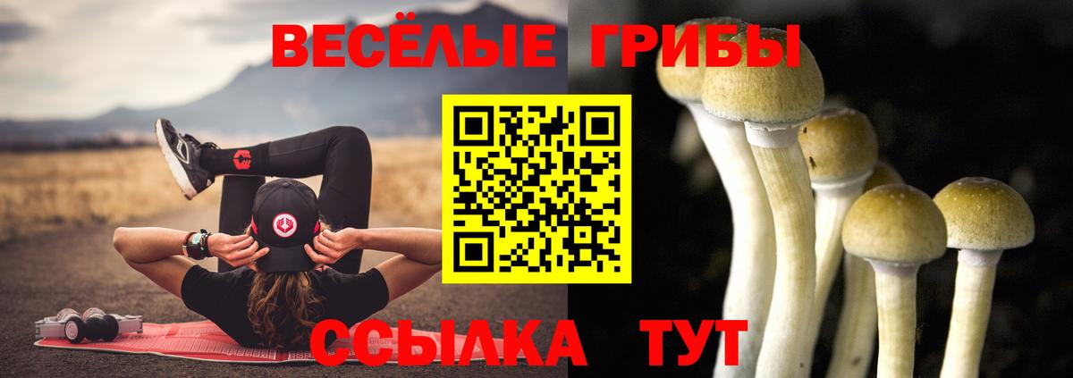 Псилоцибиновые грибы ЛСД Урус-Мартан